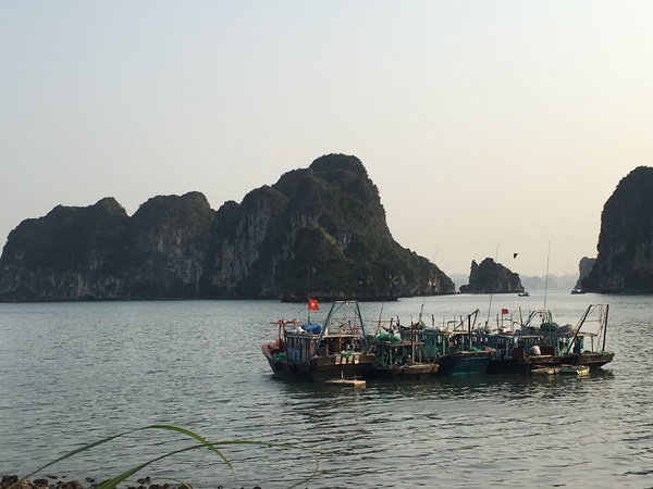 Ha Long Bay, Viet Nam. Source: Tran Thu Cuc